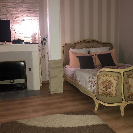 Appartement Porte Chartraine Blois Eksteriør billede